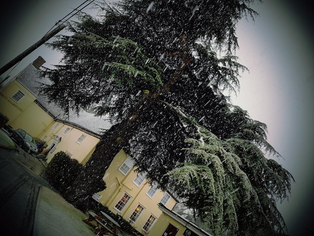 The Cedars Hotel Stowmarket Exterior foto